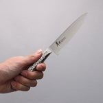 Sakai Takayuki INOX PRO Molibdeno Petty-Utilitario  120mm - Japanny-SP