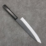 Sakai Takayuki Grabado bañado en oro de Kubota Unryu Acero Blanco No.2 Terminado Negro Gyuto 210mm Mango de Madera de ebano - Japanny-SP