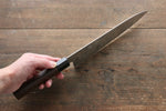 Seisuke AUS10 Damasco Gyuto  210mm Mango de Shitan - Japanny-SP