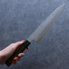 Seisuke Acero de Plata No.3 Martillado Gyuto  210mm Mango de Nogal(doble anillo de pakka verde) - Japanny-SP