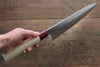 Seisuke VG10 Gyuto  240mm - Japanny-SP