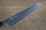 Sakai Takayuki VG10 de 33 Capas Damasco Martillado Gyuto  210mm Mango de Laquerado verde - Japanny-SP