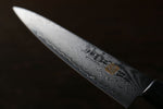 Iseya VG10 G-Series 33 Layer Damascus Japanese Chef's Petty 150mm, Santoku 180mm& Gyuto 210mm Set - Japanny-SP