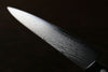 Iseya VG10 G-Series 33 Layer Damascus Japanese Chef's Petty 150mm, Santoku 180mm& Gyuto 210mm Set - Japanny-SP