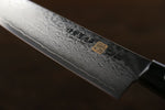 Iseya VG10 G-Series 33 Layer Damascus Japanese Chef's Petty 150mm & Gyuto 210mm Set - Japanny-SP