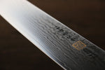 Iseya VG10 G-Series 33 Layer Damascus Japanese Chef's Petty 150mm & Gyuto 210mm Set - Japanny-SP