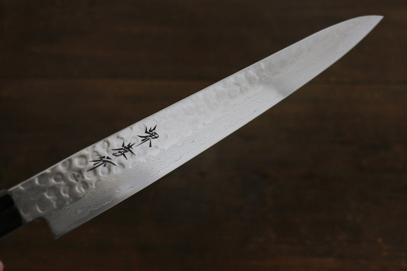 Sakai Takayuki AUS10 Damasco de 45 Capas Martillado Sujihiki  240mm Mango de Laquerado verde Con funda - Japanny-SP