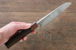 Takayuki Iwai VG10 Damasco Santoku  165mm Mango de Honduras - Japanny-SP