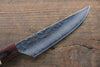 Sakai Takayuki VG10 33 Layer Damascus Steak  120mm with Keyaki Handle(Japanese Elm)  Set of 4 - Japanny-SP