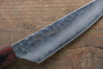 Sakai Takayuki VG10 33 Layer Damascus Steak  120mm with Keyaki Handle(Japanese Elm)  Set of 4 - Japanny-SP