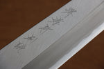 Sakai Takayuki Tokujyo Acero Blanco No.2 Gyuto  240mm Mango de Magnolia - Japanny-SP