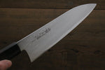 Takayuki Iwai Acero Azul No.2 Gyuto  180mm - Japanny-SP