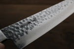 Sakai Takayuki VG10 Damasco de 17 Capas Gyuto  240mm - Japanny-SP